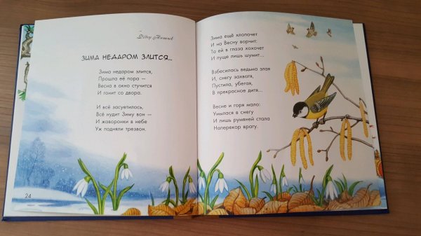 Зима недаром злится