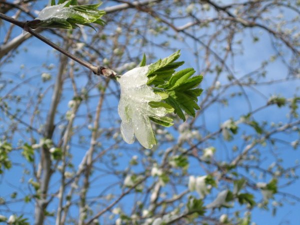 Зима недаром злится