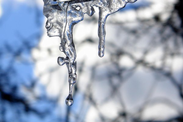 Зима недаром злится