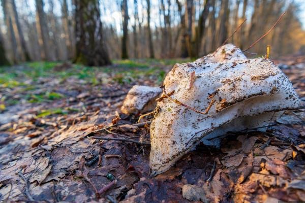 Зима недаром злится