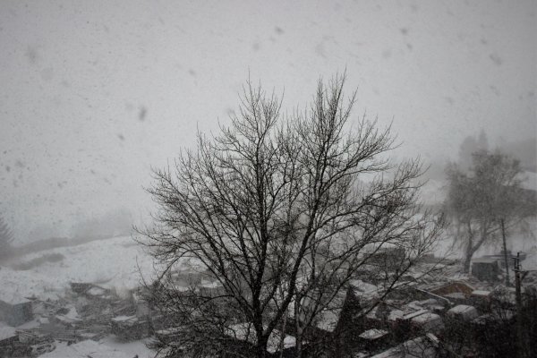 Зима недаром злится