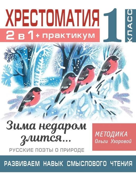 Зима недаром злится