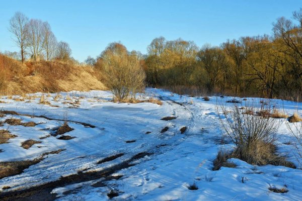 Зима недаром злится