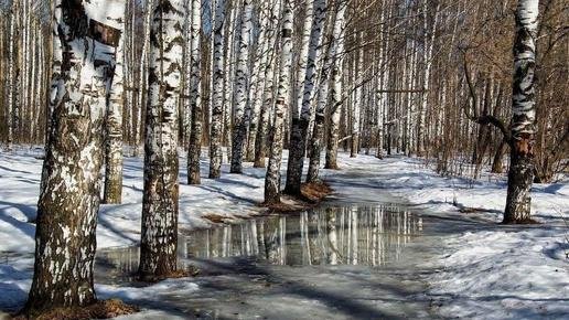 Зима недаром злится