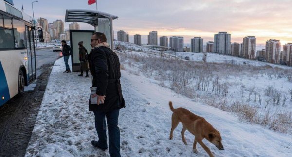 Зима недаром злится