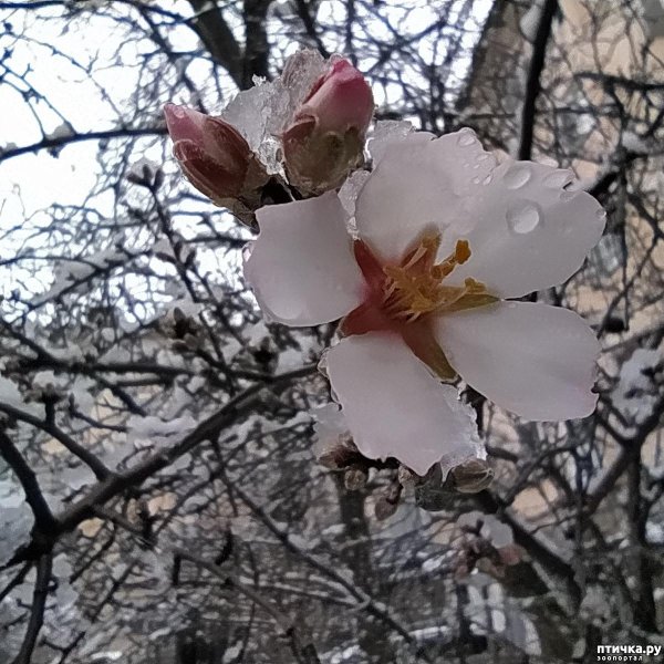 Зима недаром злится