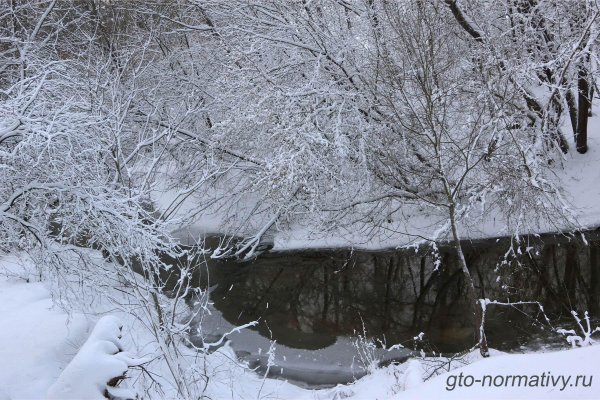Зима недаром злится