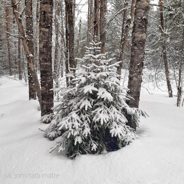 Зима недаром злится
