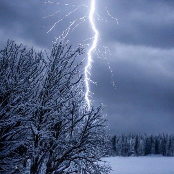 Зима недаром злится