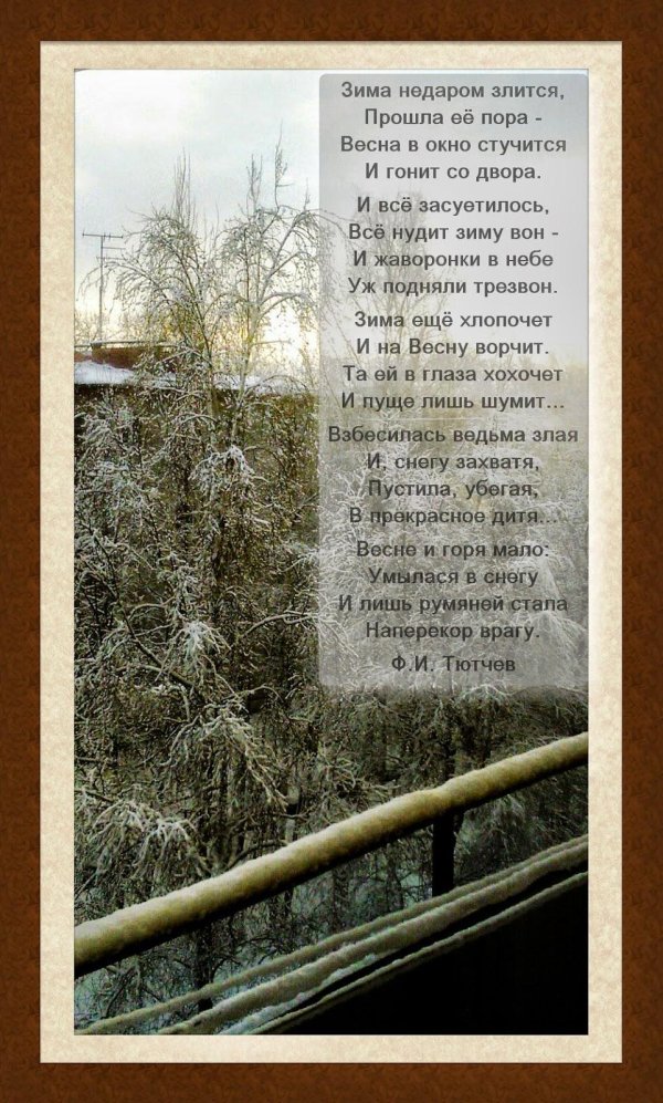 Зима недаром злится