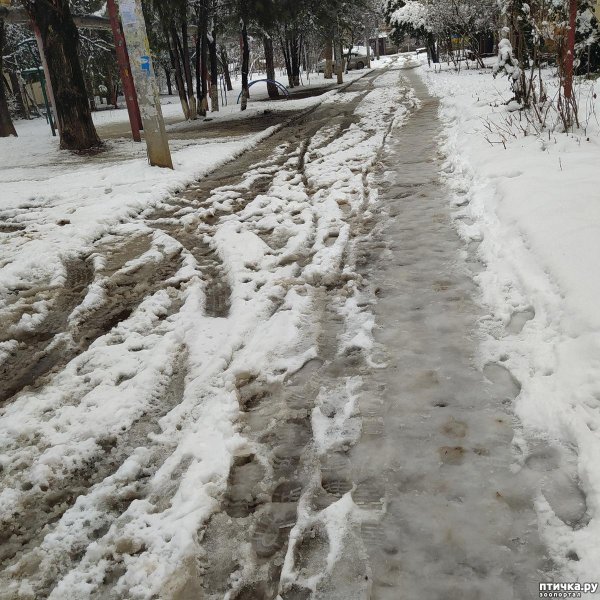 Зима недаром злится