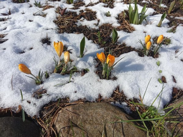 Зима недаром злится