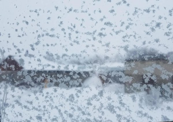 Зима недаром злится