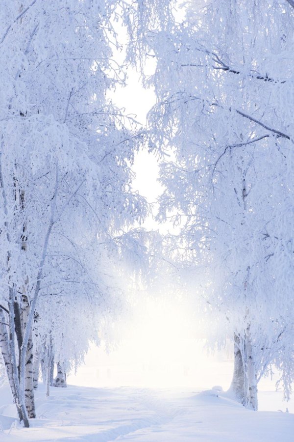 Зима для презентации