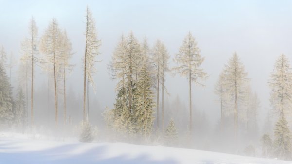 Зима для презентации