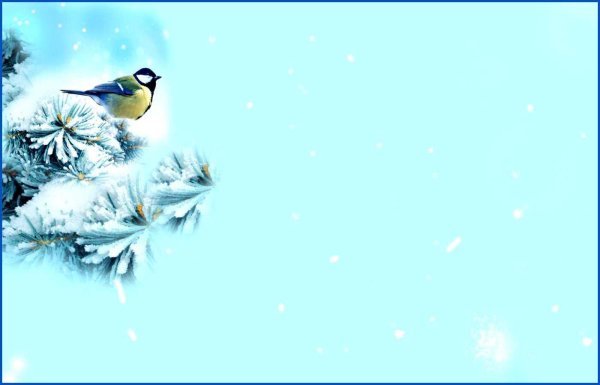 Зима для презентации