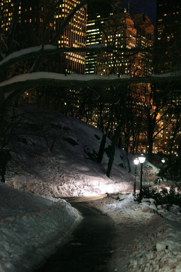 Ночного города зима