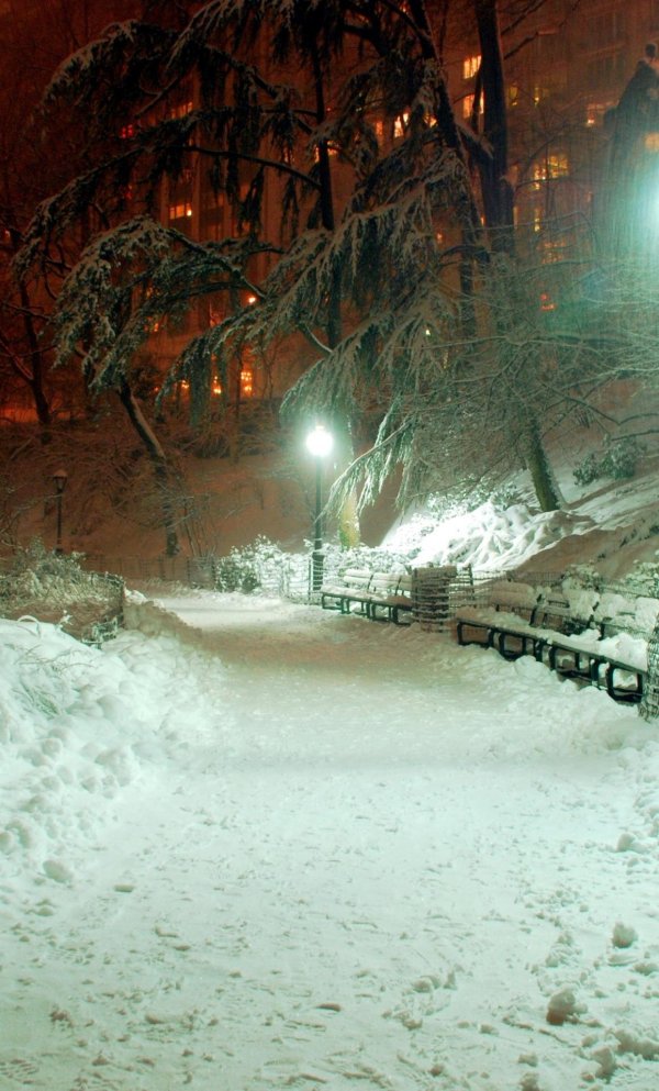 Ночного города зима