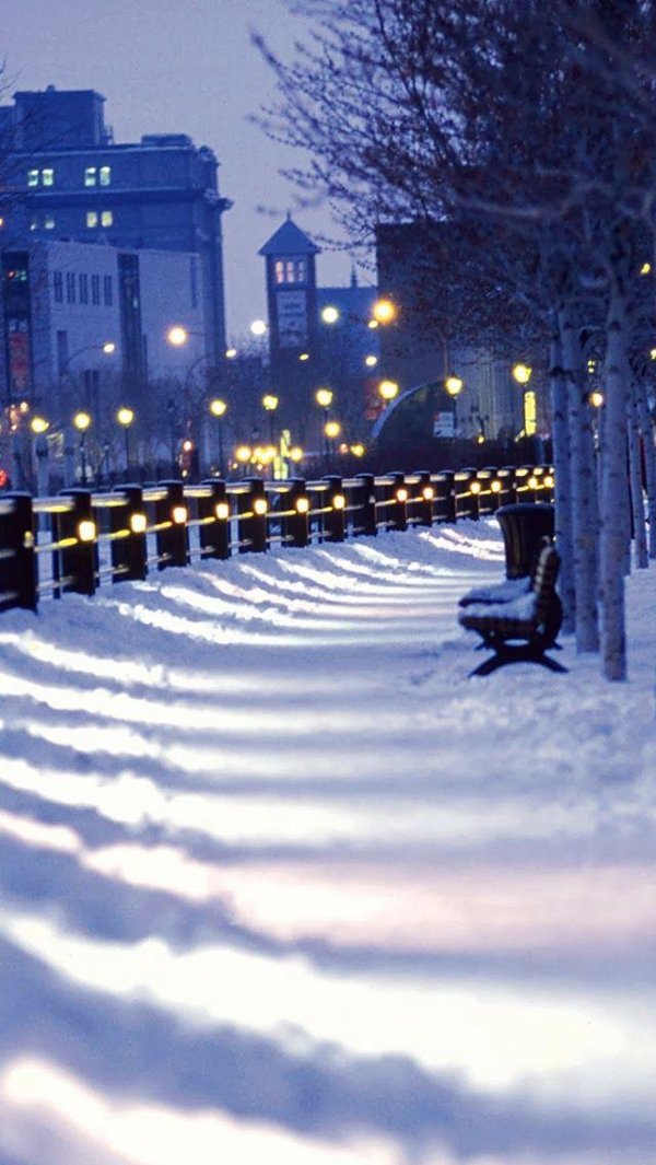 Ночного города зима