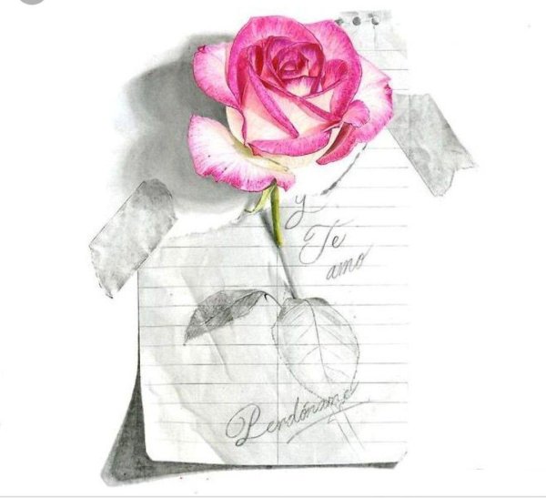 акварельные розы