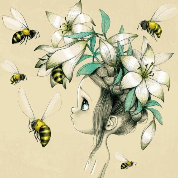 эммануэль колин иллюстратор