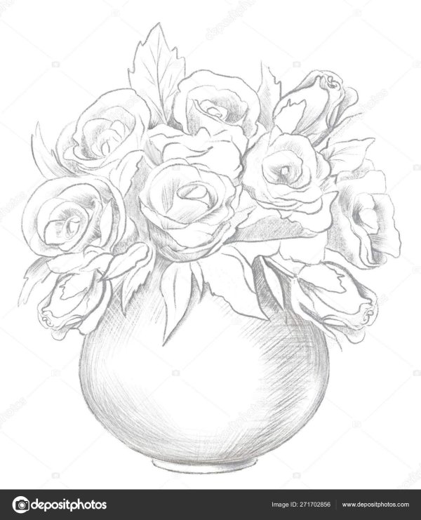 ваза с цветами скетч