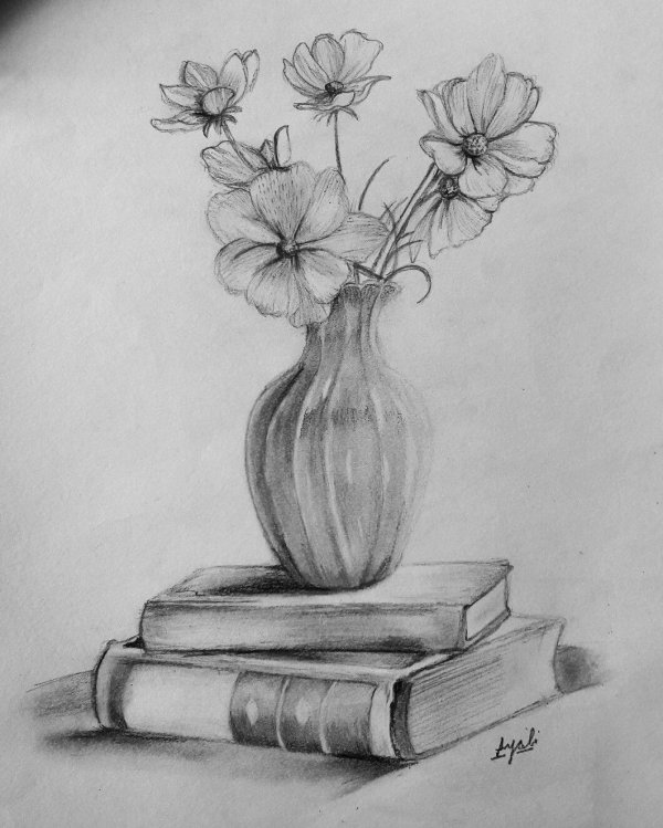 натюрморт карандаш