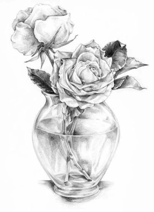 натюрморт с цветами карандашом