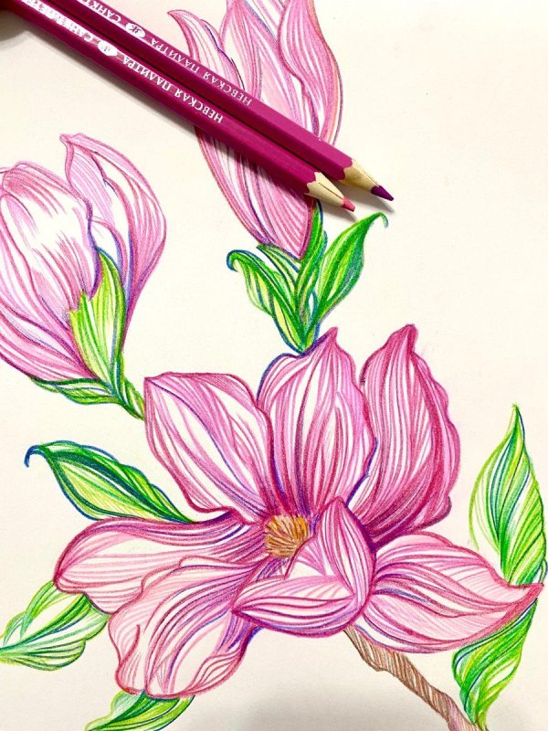 рисуем магнолию