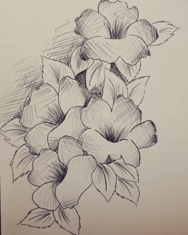 цветочный эскиз
