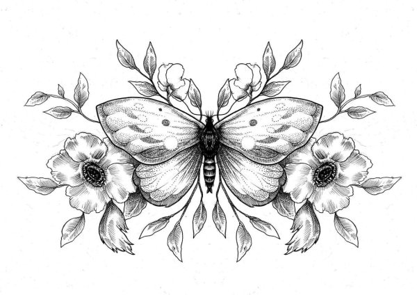 бабочка эскиз