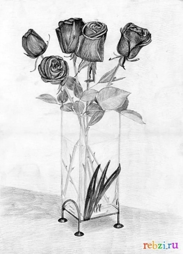 роза в вазе рисунок