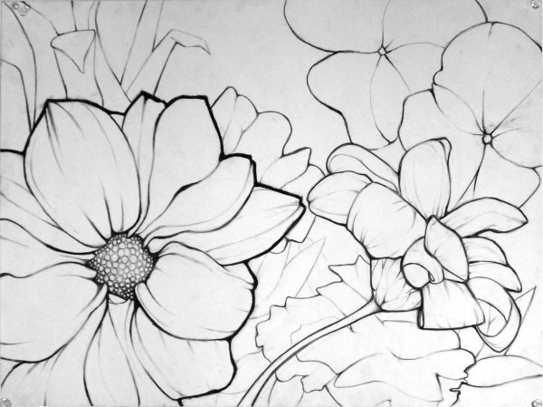 цветок рисунок карандашом
