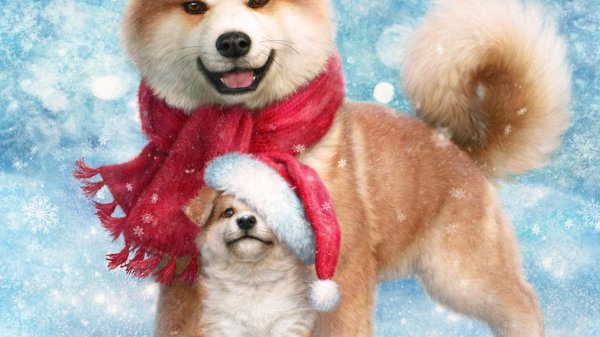 На рабочий стол зима собаки