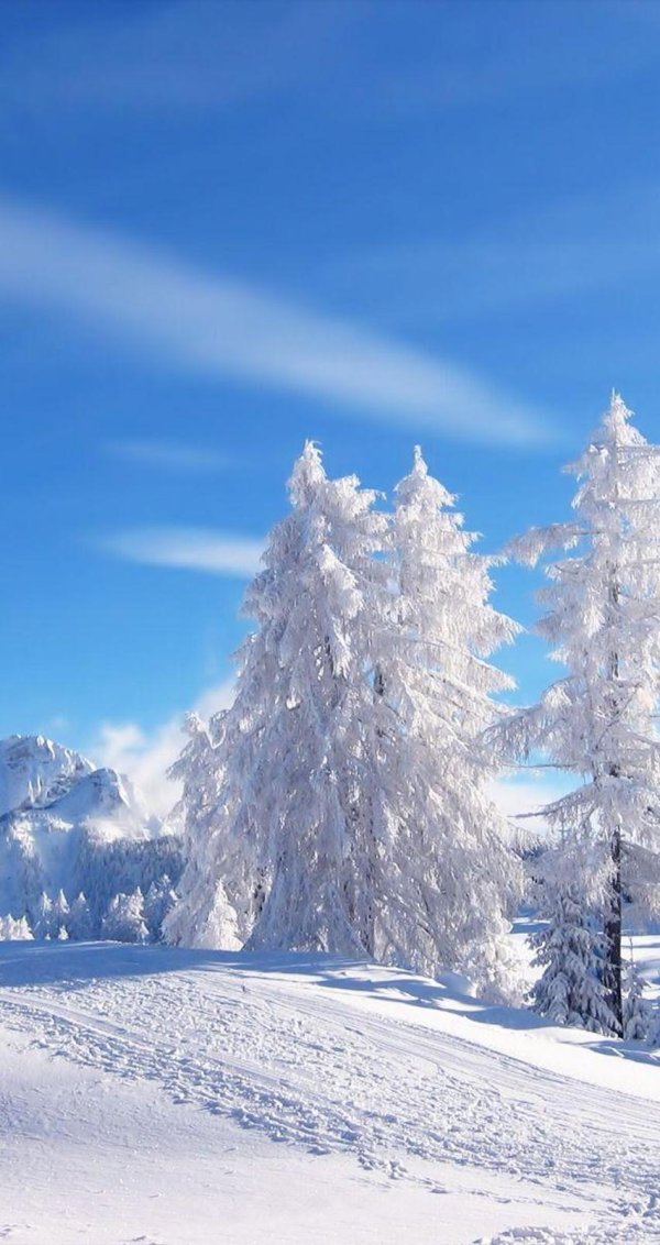 Зима здоровье