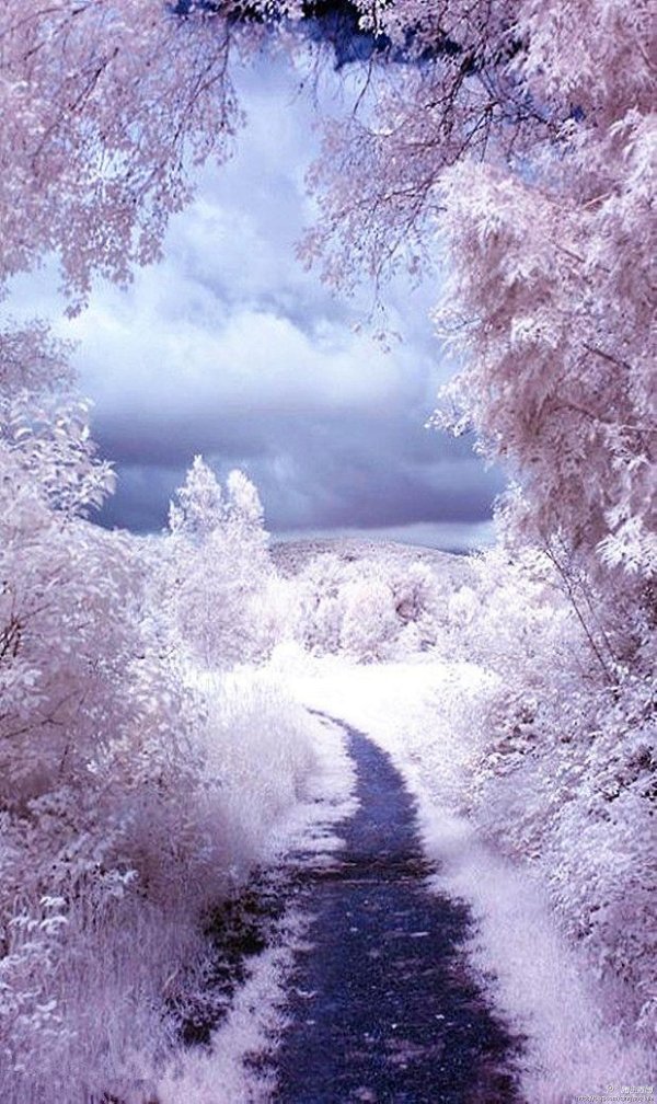 Аватарки зима