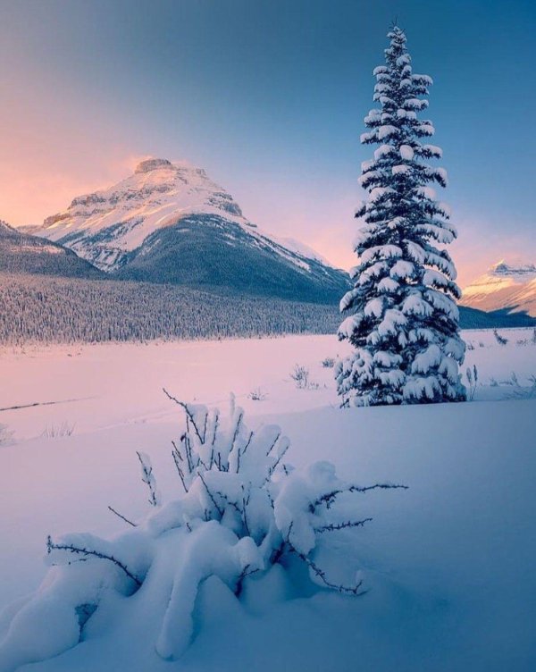 Аватарки зима