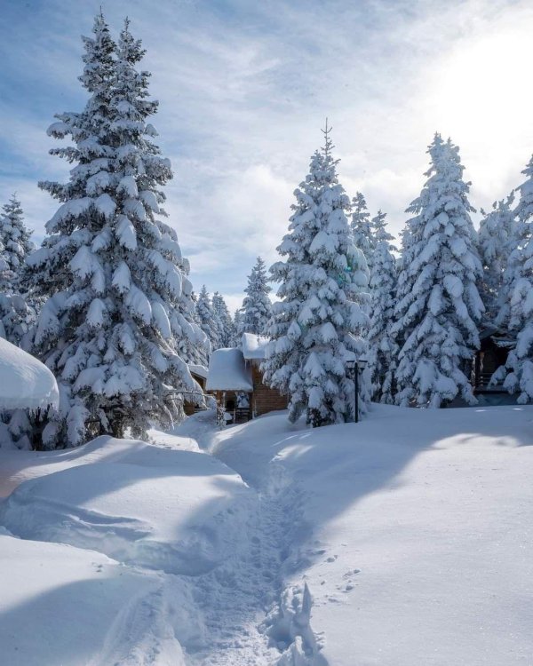 Душевная зима