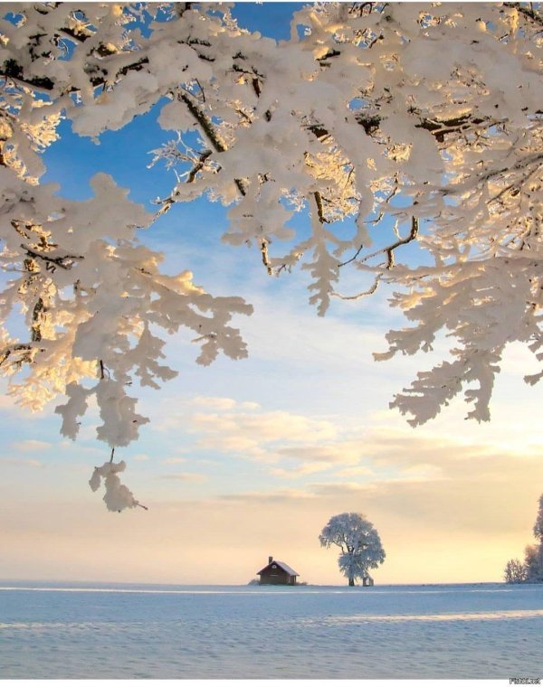 Душевная зима