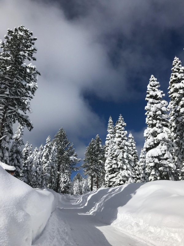 Душевная зима