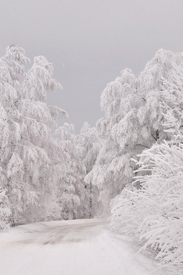 Душевная зима