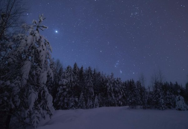 Звезды зима