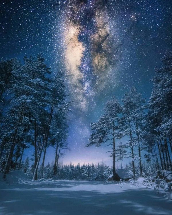 Звезды зима