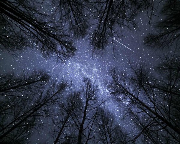 Звезды зима