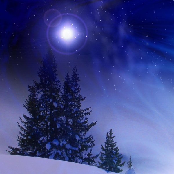 Звезды зима