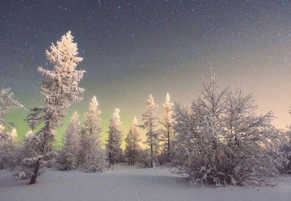 Звезды зима