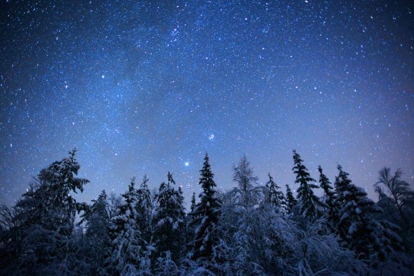Звезды зима