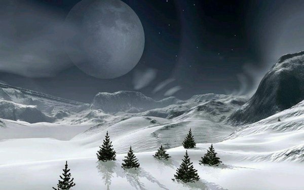 Звезды зима