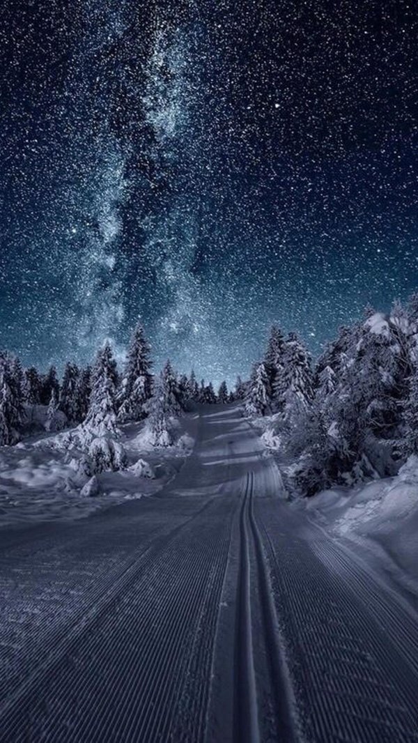 Звезды зима