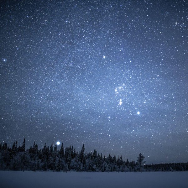 Звезды зима